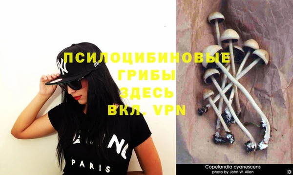 прущий лед Балахна