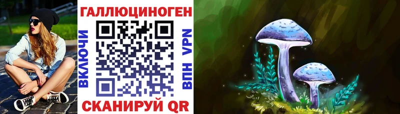 Псилоцибиновые грибы Cubensis  закладка  Оренбург 